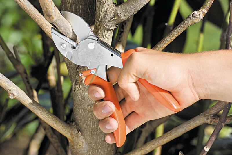 Škare Orginal Lowe 1104 - Slika 6