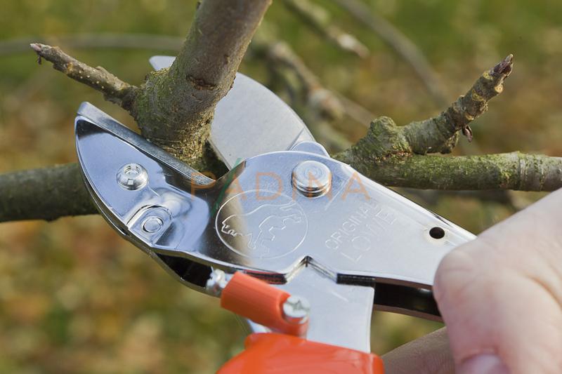 Škare Orginal Lowe 1104 - Slika 5