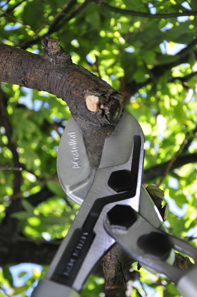 Škare Castellari M 80 - Slika 4