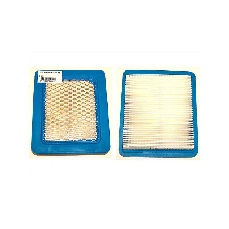 Filter zraka B&S 491588
