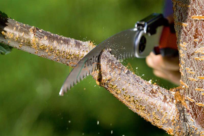 Pila voćarska sklopiva SURACON 210 LC - Slika 2