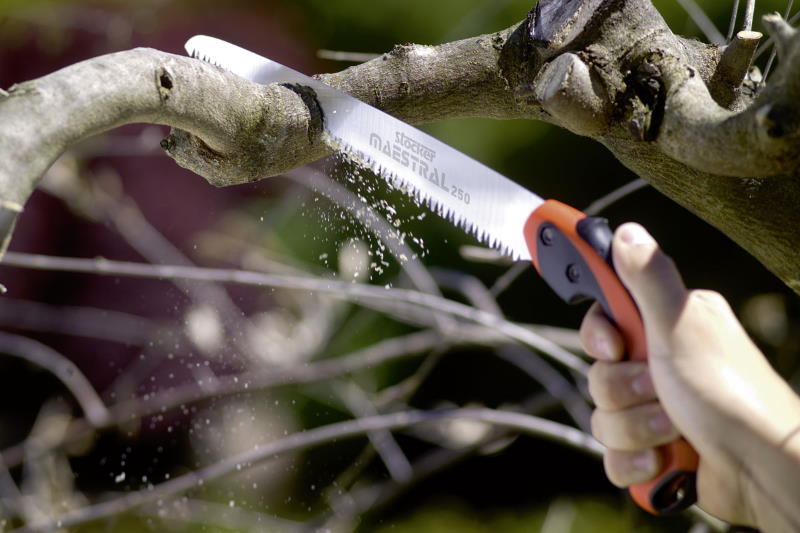 Pila voćarska MAESTRAL 250 MM - Slika 2