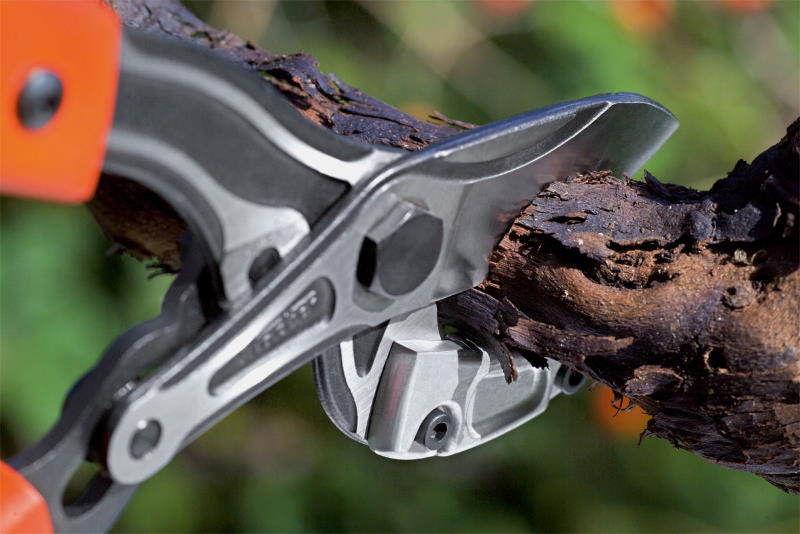 Škare za grane PROFI 80 CM nakovanj - Slika 2