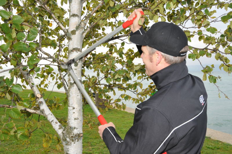 Škare za grane FELCO 230 - Slika 2