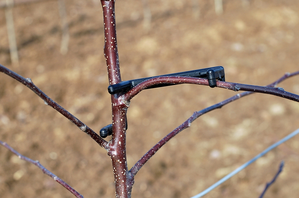Povijač za grane br.2 - Slika 2