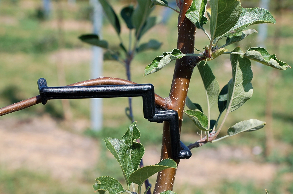 Povijač za grane br.3 - Slika 2