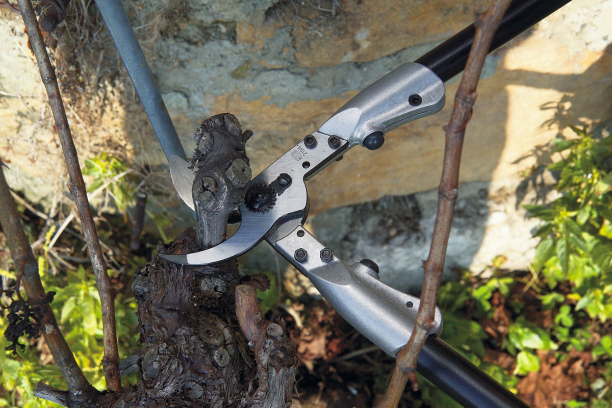 Škare za grane FELCO 210 C 60 cm - Slika 3