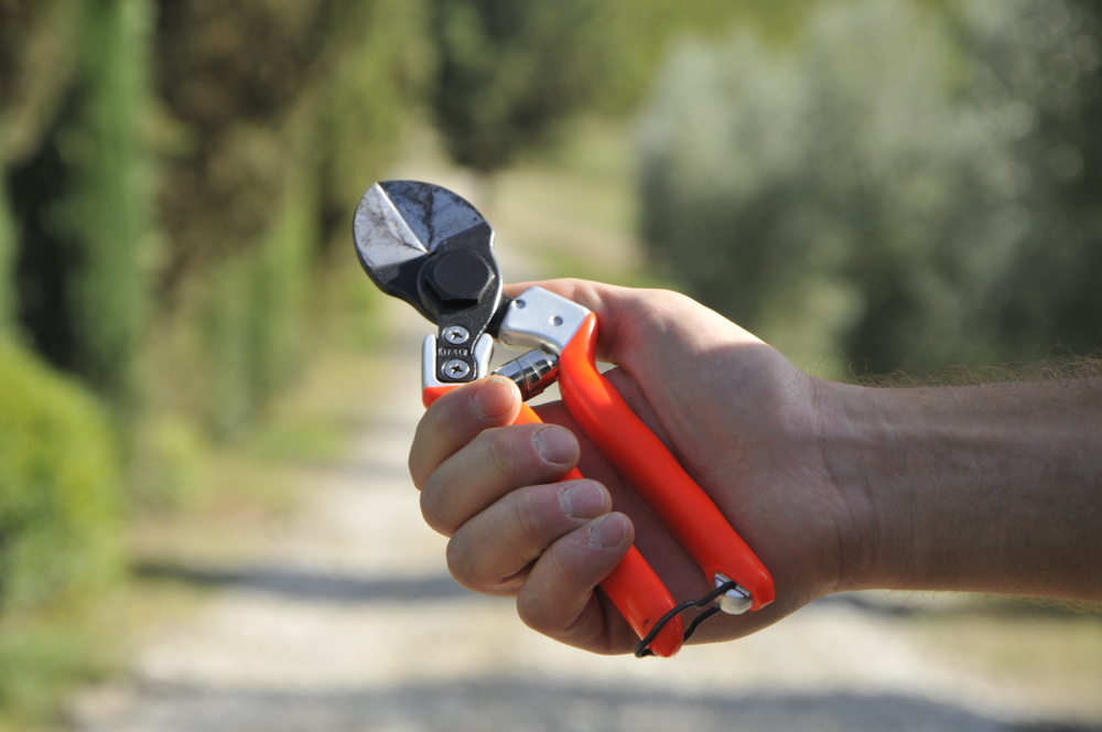 Škare Castellari B12 - Slika 4