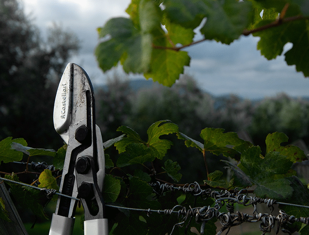 Škare Castellari M 100 - Slika 3