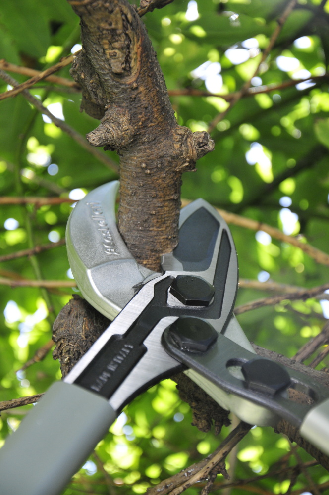 Škare Castellari Tucano C 80 - Slika 6