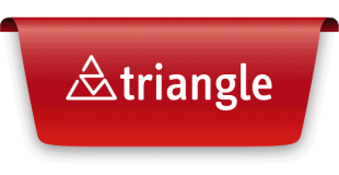 rtiangle_logo-1