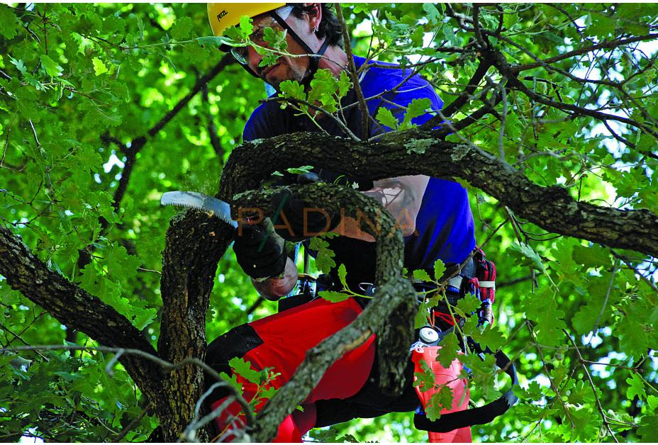 Pila Silky Zubat 330-7,5 - Slika 4