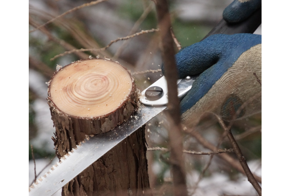 Silky pila za rezidbu Gomboy 270-10 - Slika 4