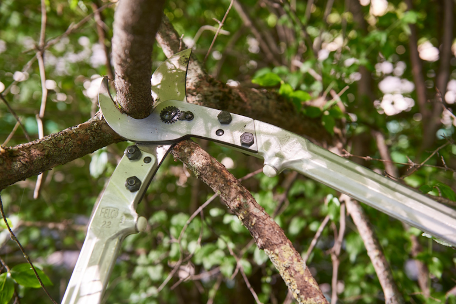 Škare za grane FELCO 22 - Slika 4