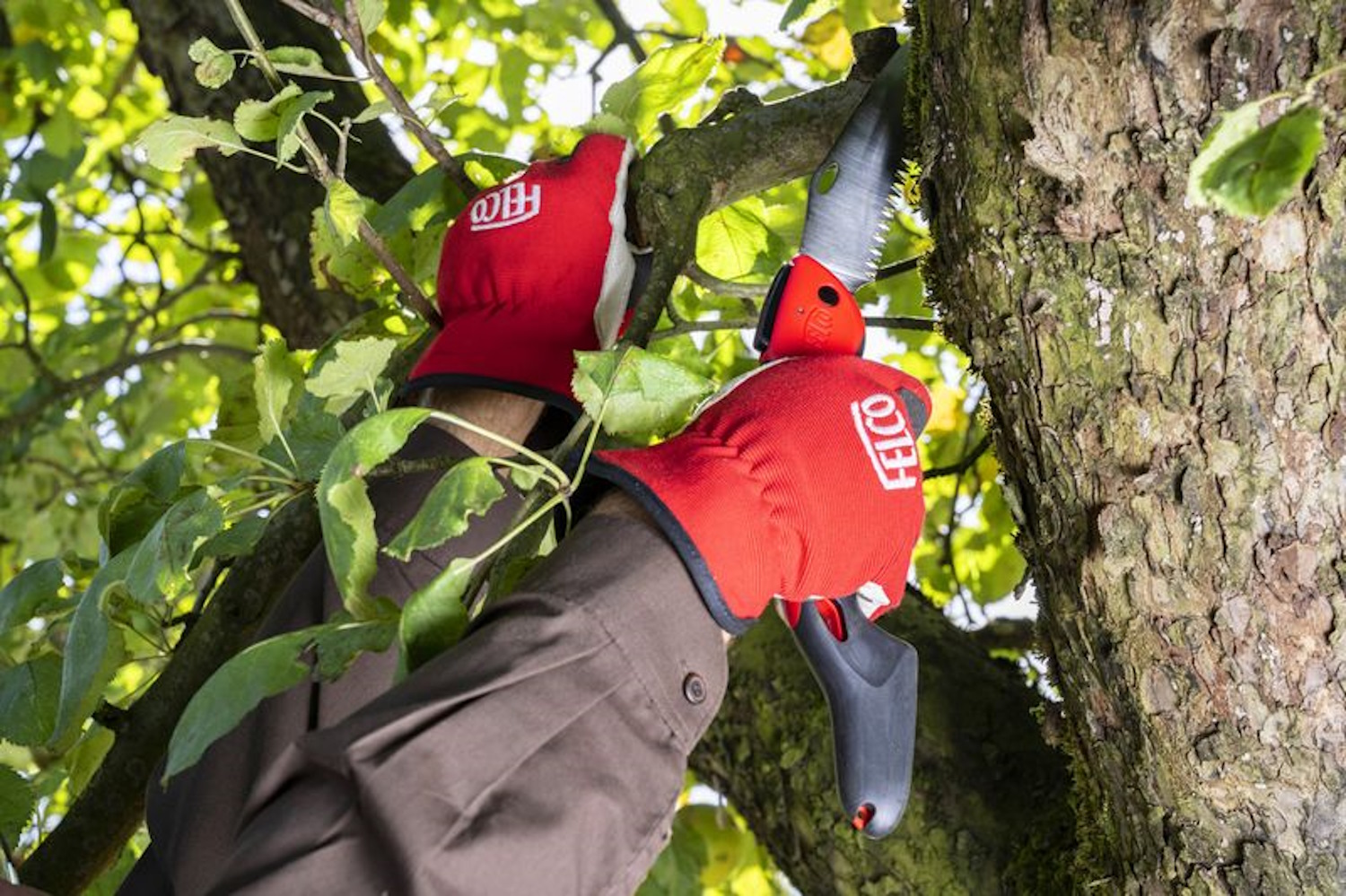 Pila preklopna Felco 603 - Slika 5