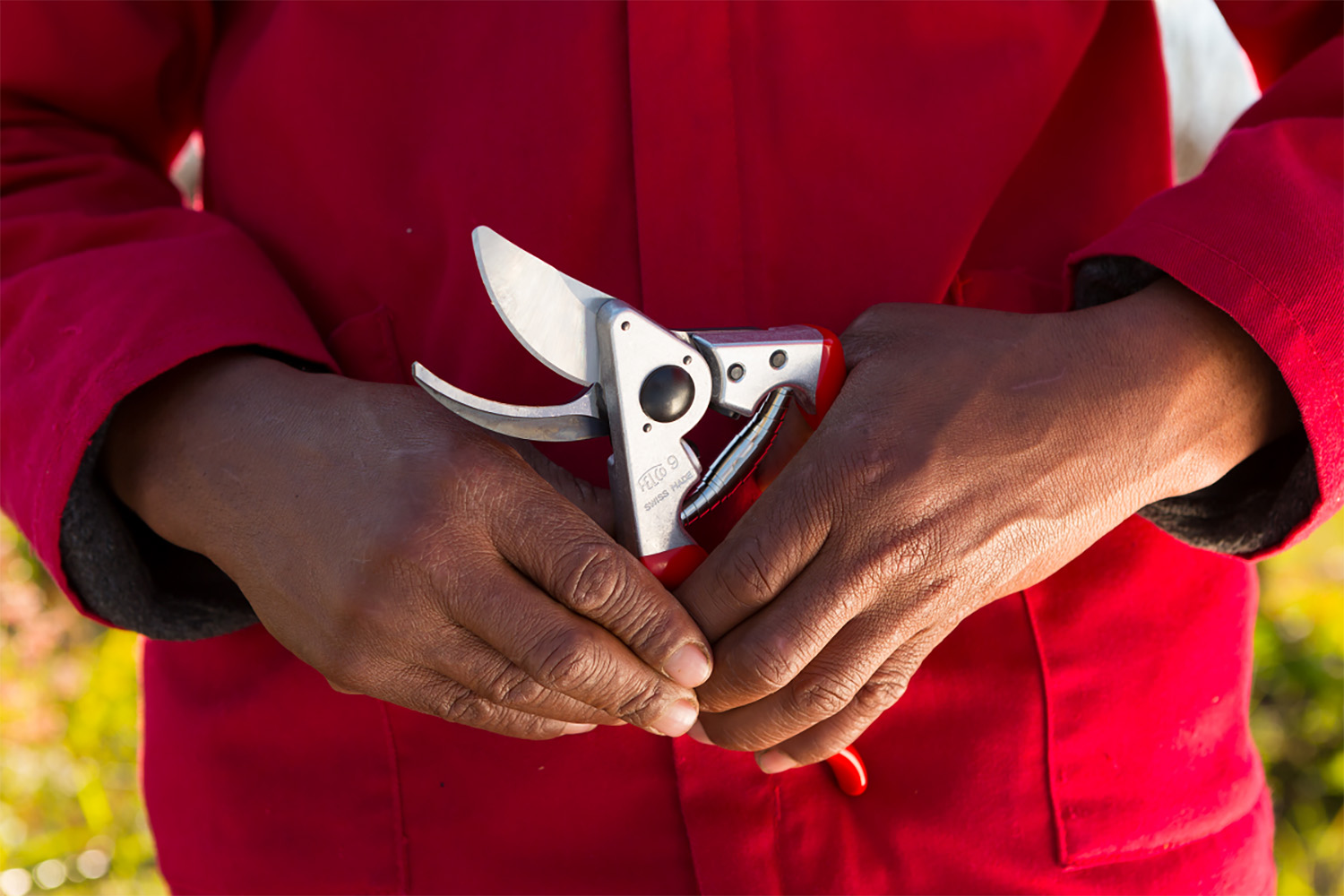 Škare Felco 9 - Slika 5