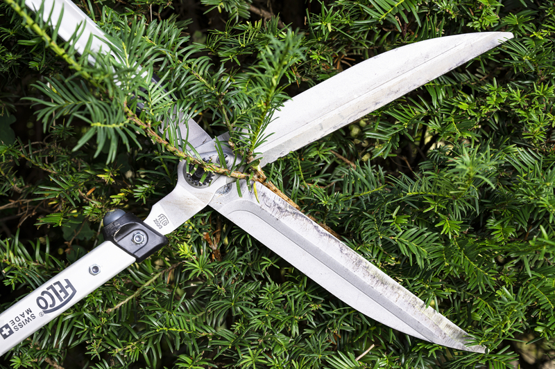 Škare za živicu FELCO 250-63 - Slika 2