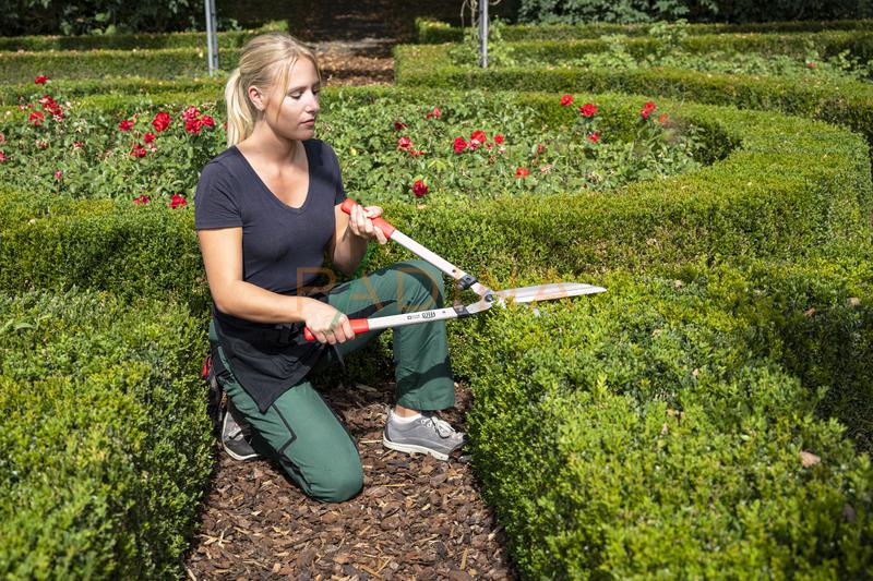 Škare za živicu FELCO 250-63 - Slika 4