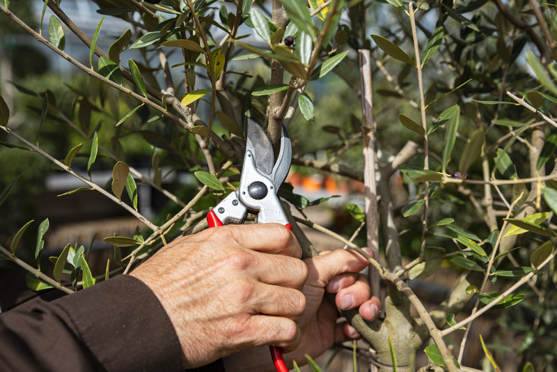 Škare FELCO 11 - Slika 2