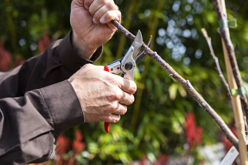 Škare FELCO 11 - Slika 3